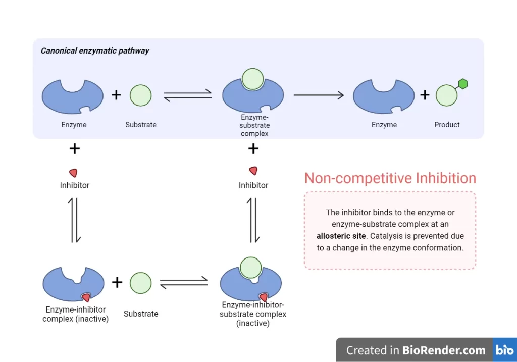Enzyme Inhibition And Types Of Enzyme Inhibitors » Microbiology Study