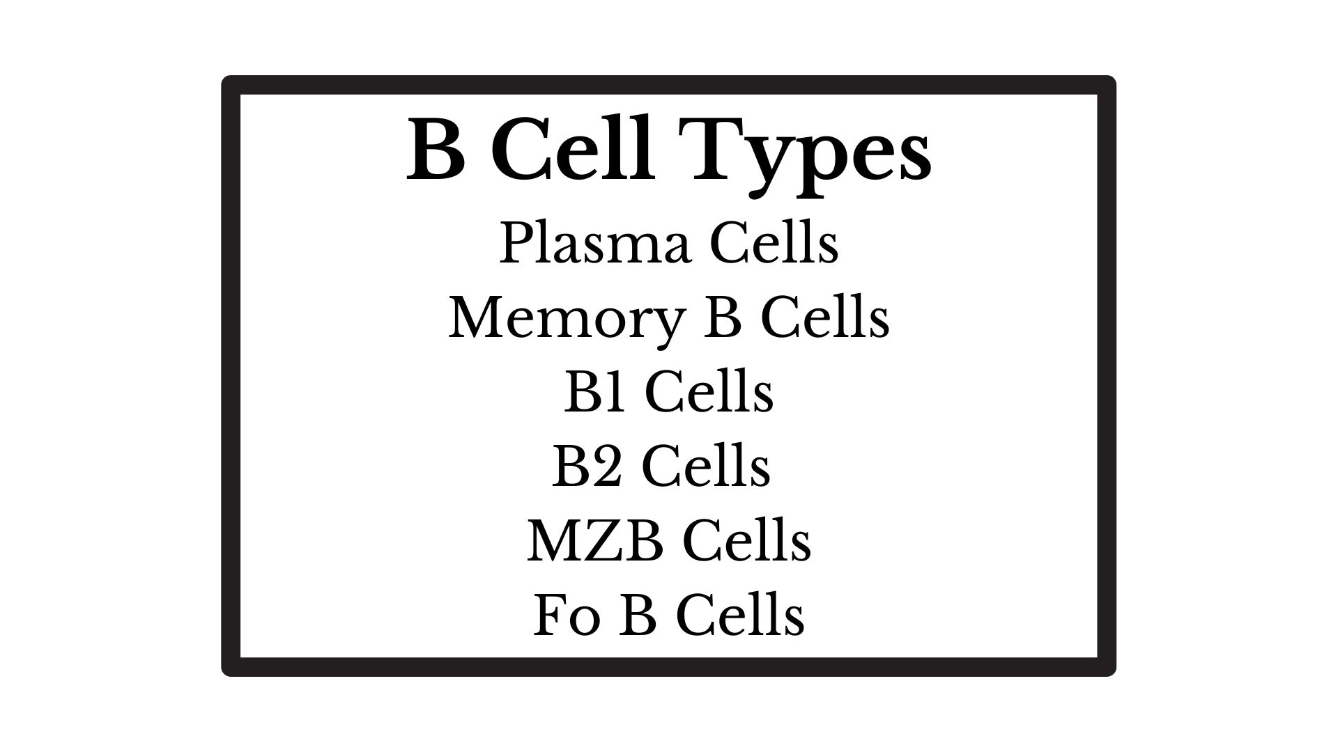 B Cell Types: The Diversity Of B Lymphocytes » Microbiology Study